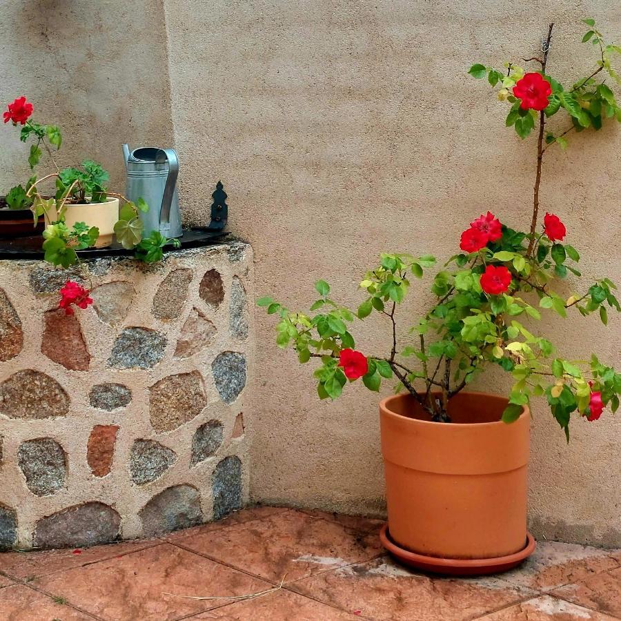 El Fresno Casa Rural Abuela Reme מראה חיצוני תמונה